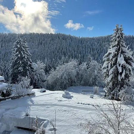 Hotel Haus Am Waldrand 3* Flims