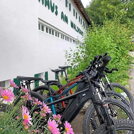Hotel Am Waldrand Aparthotel Flims