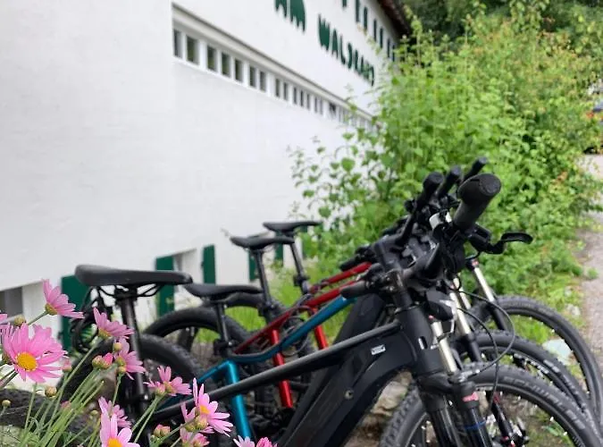 Haus Am Waldrand Apart Otel 3*