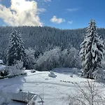 Haus Am Waldrand 3* Flims
